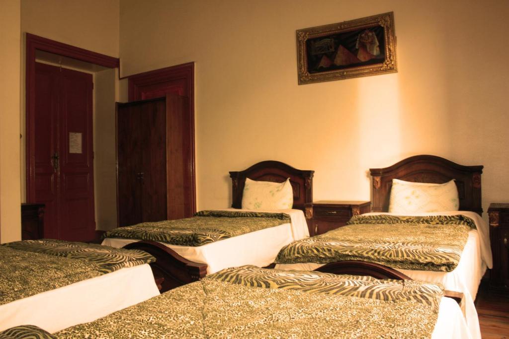 Hola Cairo Hostel Zimmer foto